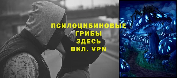 герыч Алексин