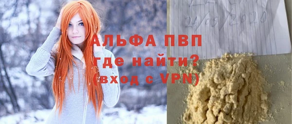 эйфоретик Арсеньев