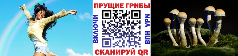 блэк спрут tor Тверь Псилоцибиновые грибы ЛСД