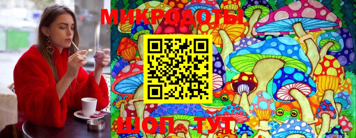Галлюциногенные грибы прущие грибы  Вход с VPN  Тверь 