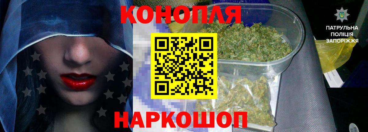 Тверь  Конопля сатива  МАРИХУАНА конопля  Вход с VPN 